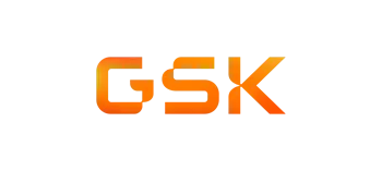 17.-GSK